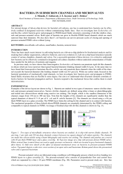 bacteria in submicron channels and microvalves