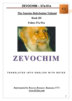 41c - Zevochim - 57a-91a