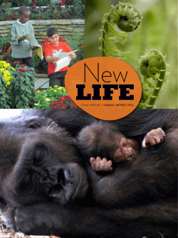 Como Friends &bull; ANNUAL REPORT 2014