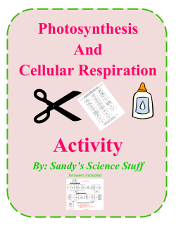Photosynthesis And Cellular Respiration