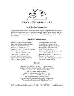 Canine Initial Consult