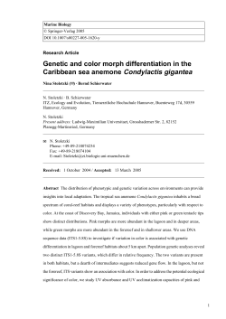 Genetic and color morph differentiation in the Caribbean sea
