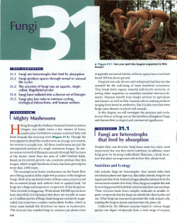 HS-SCI-APB-Unit 5 -- Chapter 31- Fungi