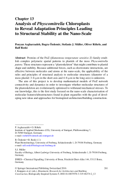 Analysis of Physcomitrella Chloroplasts to Reveal Adaptation