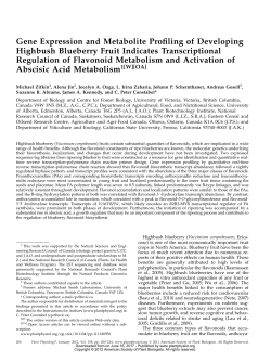 Gene Expression and Metabolite Profiling of