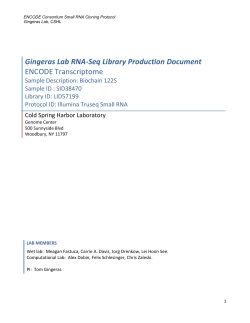 STRATEGY: This document contains information about small RNA