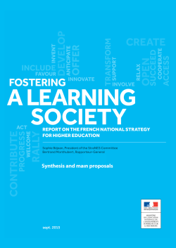 Fostering a learning society. Report on the French national strategy
