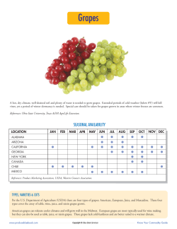 Grapes - Produce Blue Book
