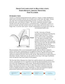 Fern pdf - Florida Center for Instructional Technology