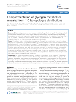 Compartmentation of glycogen metabolism revealed from 13C