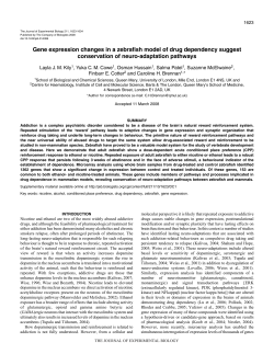 Gene expression changes in a zebrafish model of drug dependency