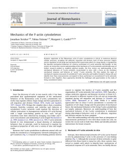 Mechanics of the F-actin cytoskeleton - Margaret Gardel