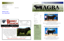 AGBA Newsletter Spring 2013