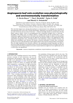 Angiosperm leaf vein evolution was physiologically and
