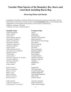 Flowering plants - Nature Guides BC