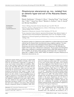 Streptomyces atacamensis sp. nov., isolated from an extreme hyper