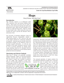 Hops - University of Kentucky