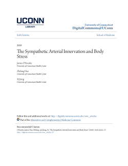 The Sympathetic Arterial Innervation and Body Stress
