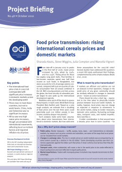 Food price transmission: rising international cereals prices and