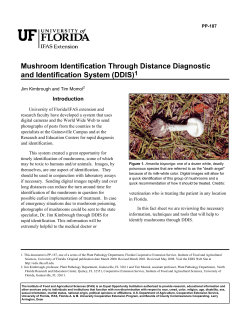 Mushroom Identification Through Distance Diagnostic