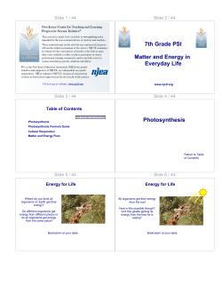 7th Grade PSI Matter and Energy in Everyday Life Photosynthesis