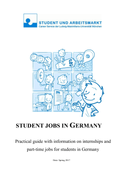 Practical guide - Student und Arbeitsmarkt