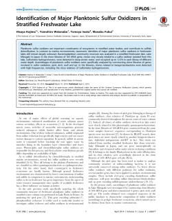 Identification of Major Planktonic Sulfur Oxidizers in Stratified