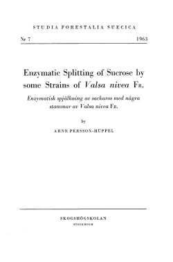 Enzymatic Splitting of Sucrose by some Strains of Valsa nivea FR.