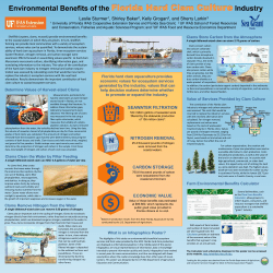Environmental Benefits of the Florida Hard Clam Culture Industry