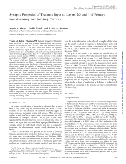 Synaptic Properties of Thalamic Input to Layers 2/3 and 4 of Primary
