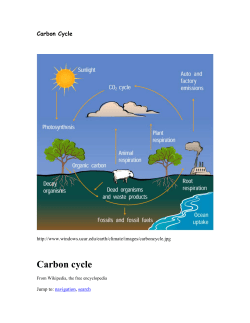 Physical Science/Atmosphere/Carbon Cycle
