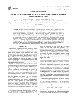 Barium and strontium uptake into larval protoconchs and statoliths of