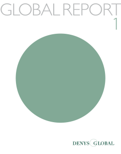denys global