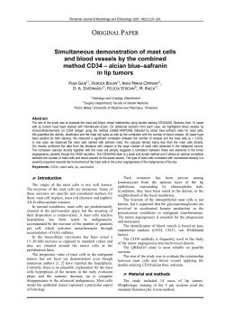 Simultaneous demonstration of mast cells and blood vessels