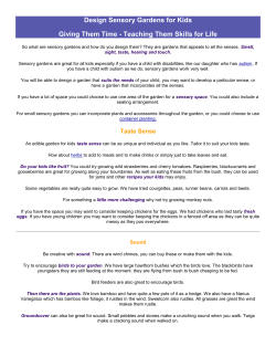 Design Sensory Garden for Kids