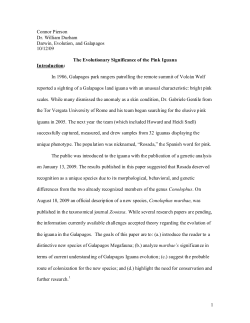 The Evolutionary Significance of the Pink Iguana