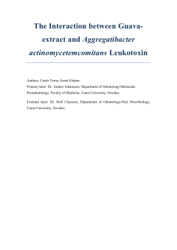 The Interaction between Guava- extract and Aggregatibacter