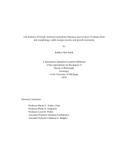 Life histories of female American mastodons (Mammut