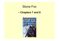 Stone Fox
