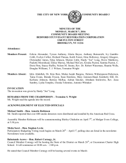 the city of new york community board 3 minutes of the monday