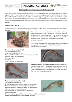 Looking After Your Earthworms