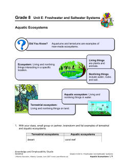Freshwater and Saltwater Systems Aquatic Ecosystems