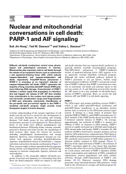 Nuclear and mitochondrial conversations in cell
