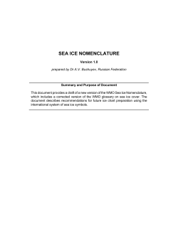 sea ice nomenclature