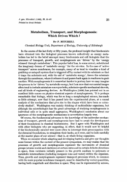 Metabolism, Transport, and Morphogenesis