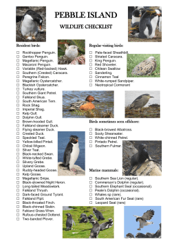 a full Pebble Island wildlife list