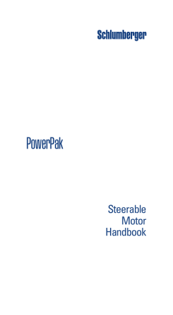 PowerPak - Schlumberger