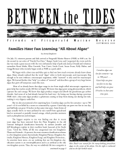 Families Have Fun Learning &ldquo;All About Algae&rdquo;