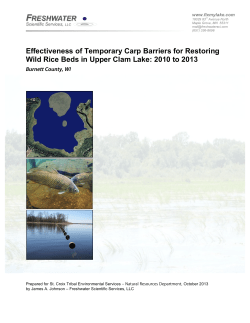 Effectiveness of Temporary Carp Barriers for Restoring Wild Rice