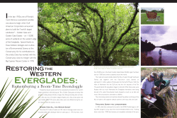 Everglades - Conservancy of Southwest Florida